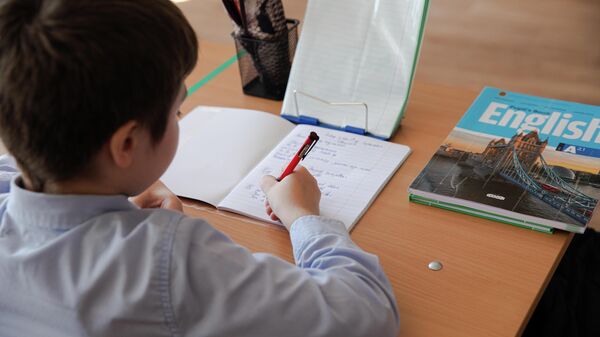 Инга Сибова: школы в городах Молдовы переполнены, а в селах – умирают - Sputnik Молдова