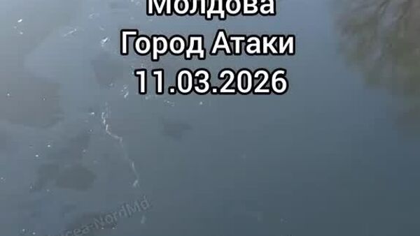 Следы нефтепродуктов в реке Днестр очень незначительны и почти не поддаются обнаружению, поэтому сейчас не представляют опасности для населения - Sputnik Молдова