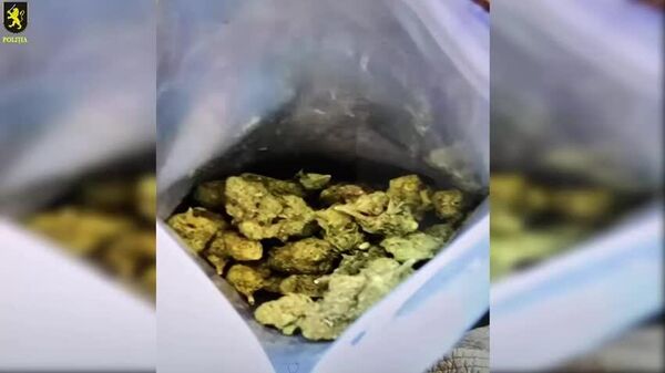 Polițiștii din sectorul Botanica au documentat activitatea ilegală a unui minor de 17 ani, locuitor al capitalei, suspectat de distribuirea substanțelor narcotice în Chișinău - Sputnik Moldova