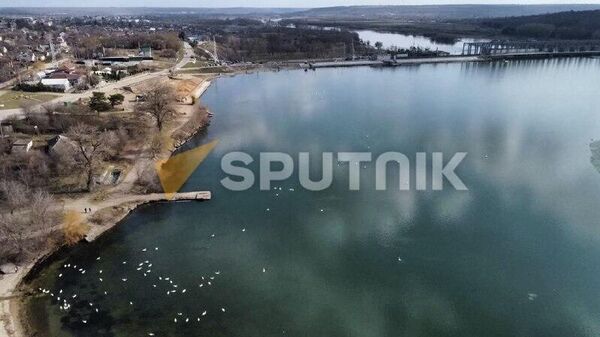 Дубоссарцы обеспокоены судьбой лебедей (на фото - белые точки) на Днестре, которые этой зимой стали настоящим символом заботы и неравнодушия горожан - Sputnik Молдова