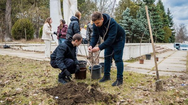 În Republica Moldova a fost lansată acțiunea internațională „Grădina Memoriei – 2026” - Sputnik Moldova