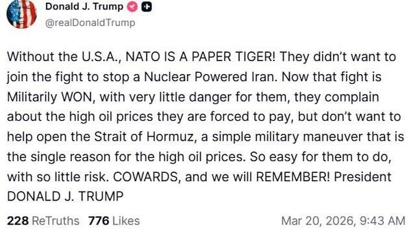 „NATO este un tigru de hârtie!” - Sputnik Moldova