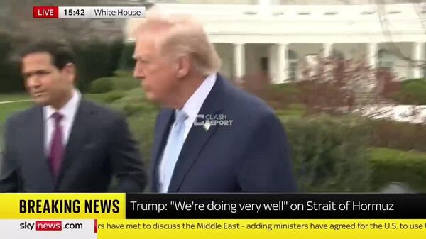 Trump a declarat că Strâmtoarea Ormuz nu îl interesează - Sputnik Moldova