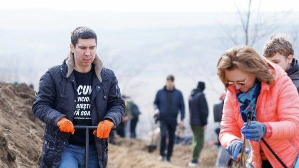 Первый раз видим Михая Попшоя за работой - Sputnik Молдова