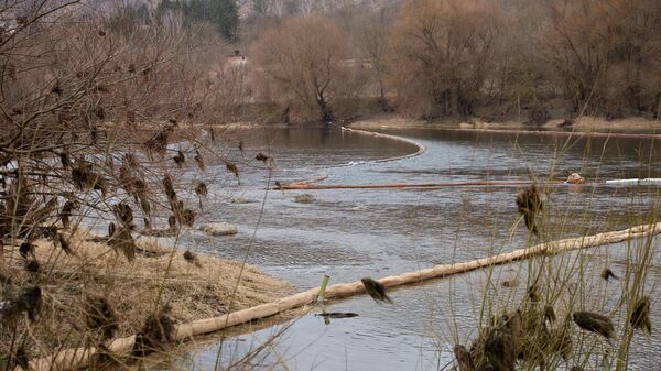 Работы по установлению заграждения для фильтрации воды на реке Днестр в селе Унгурь  - Sputnik Молдова