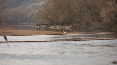 Работы по установлению заграждения для фильтрации воды на реке Днестр в селе Унгурь 
