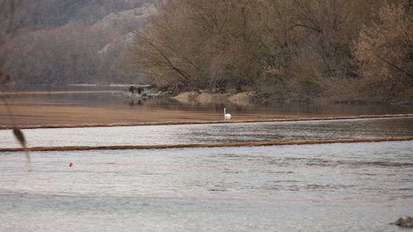 Работы по установлению заграждения для фильтрации воды на реке Днестр в селе Унгурь  - Sputnik Молдова