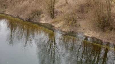 Река Днестр в селе Унгурь