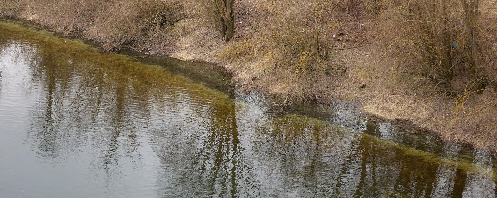 Река Днестр в селе Унгурь - Sputnik Молдова, 1920, 26.03.2026