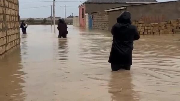 Люди в Дагестане на руках выносили собак из затопленного приюта - Sputnik Молдова