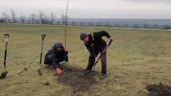 Поисковики Молдовы присоединились к международной акции Сад Памяти - Sputnik Молдова