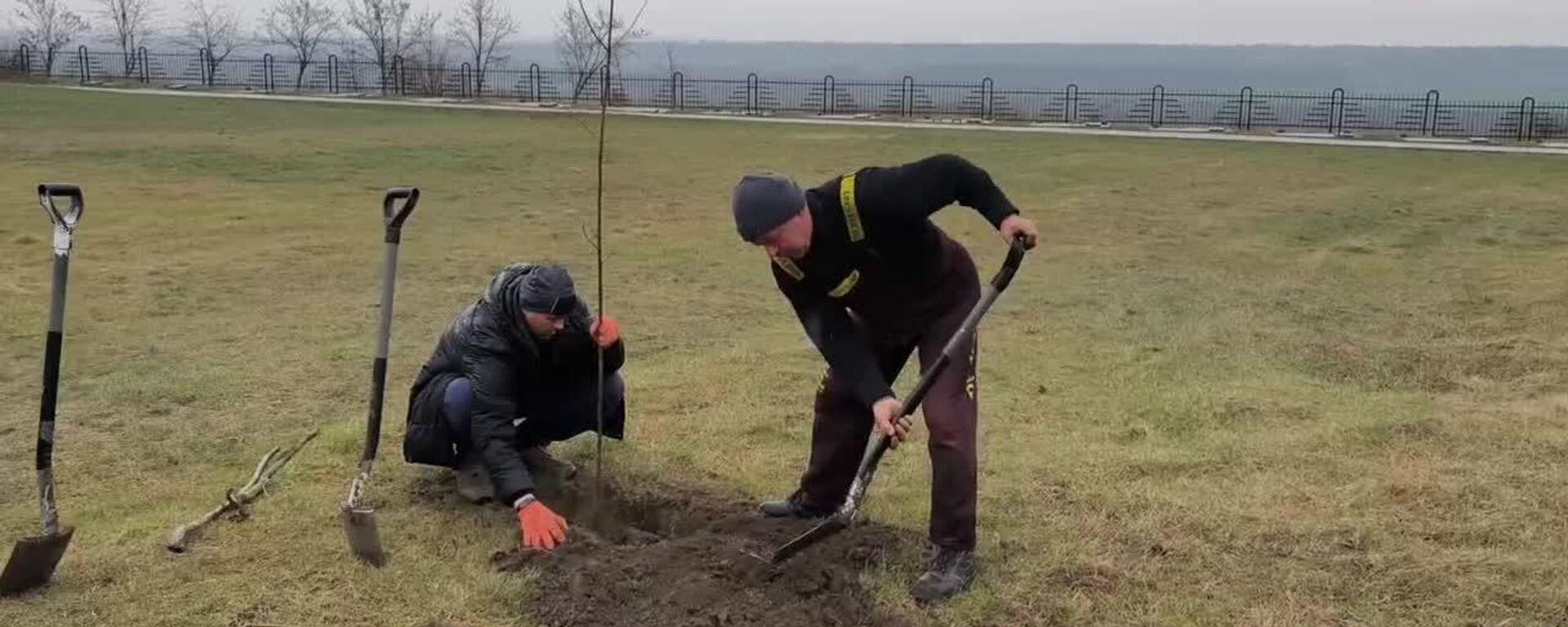 Поисковики Молдовы присоединились к международной акции Сад Памяти - Sputnik Молдова, 1920, 31.03.2026