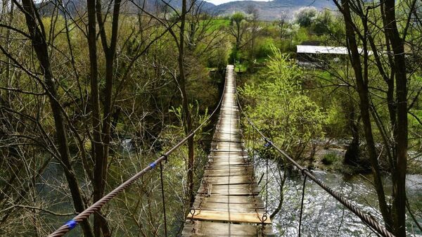 Primăvara prinde contur în Parcul Național Cheile Nerei – Beușnița - Sputnik Moldova