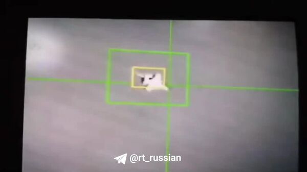 Iranul a declarat că a doborât deasupra insulei Qeshm „un avion de vânătoare modern inamic”, fără a preciza despre care anume este vorba - Sputnik Moldova