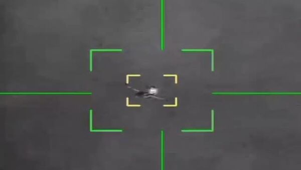 Un avion de vânătoare american A-10 a fost doborât de apărarea aeriană iraniană - Sputnik Moldova