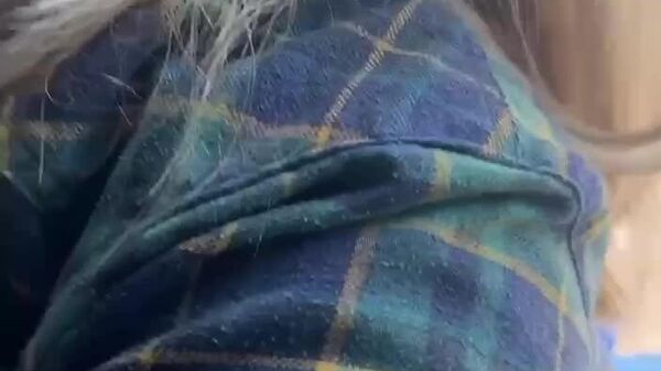 Обстановка в аэропорту Кишинева, где ищут бомбу - Sputnik Молдова