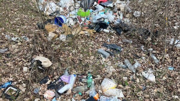 “Какие кластеры с ЕС надо открыть, чтобы молдаване не выбрасывали мусор в лесу?”, — иронично поинтересовался публицист Дмитрий Чубашенко - Sputnik Молдова