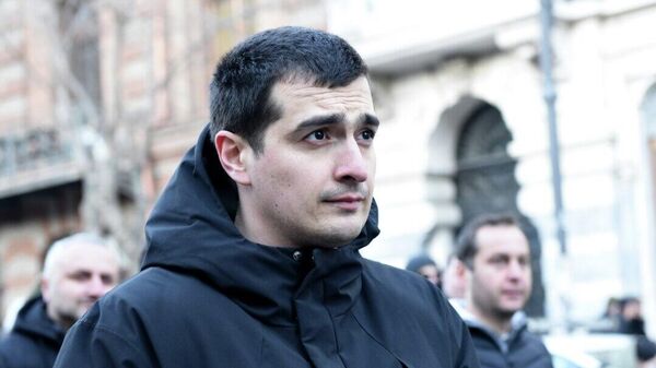 Из Конституции Грузии предлагают убрать пункт о курсе в НАТО и ЕС - Sputnik Молдова