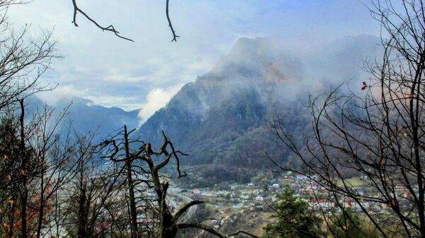 Bună dimineața, din Parcul Național Cozia! - Sputnik Moldova