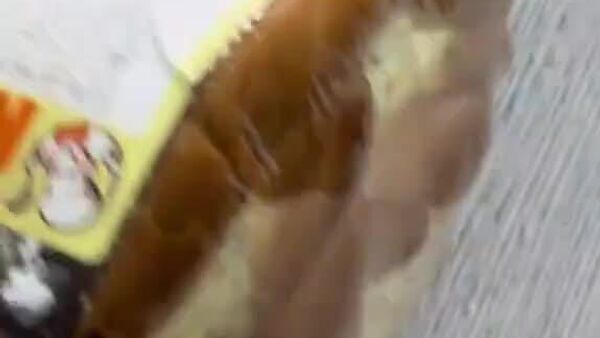 В известной молдавской сети супермаркетов появилась в продаже гастрономическая новинка — пасхальный кулич с плесенью - Sputnik Молдова