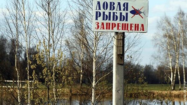 Сегодня в Приднестровье вступает в силу 2-месячный нерестовый запрет на рыболовство - Sputnik Молдова