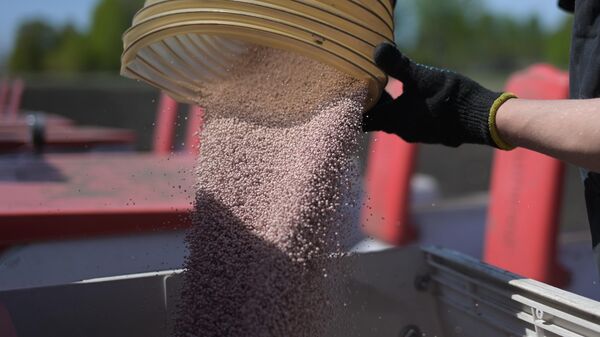 Заполнение контейнеров удобрением перед посевом - Sputnik Молдова