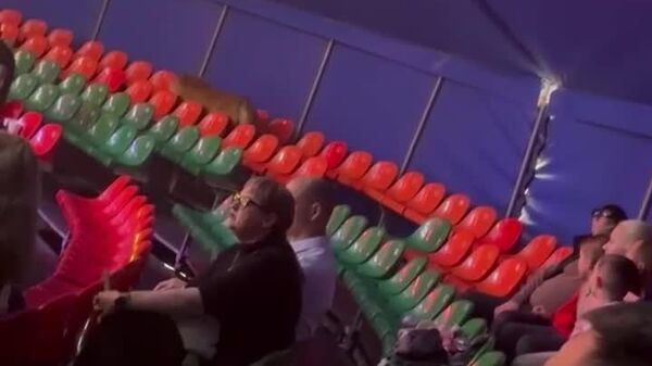 Părinții își acopereau copiii când un tigru s-a apropiat foarte mult de ei - totul s-a întâmplat la un circ din Rostov-pe-Don, Federația Rusă - Sputnik Moldova