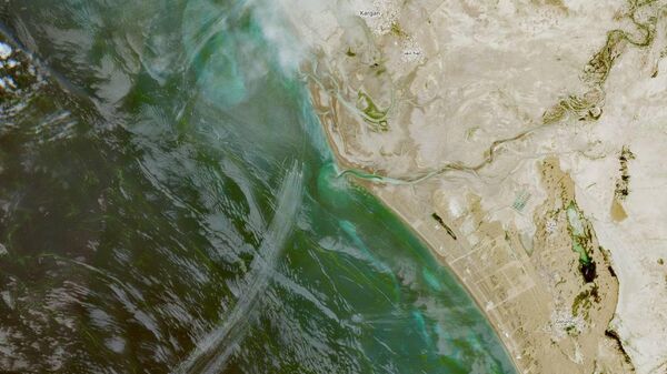 Более 30 быстроходных катеров КСИР были замечены вблизи Ормузского пролива - Sputnik Молдова