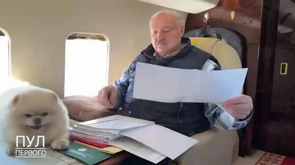 Lukașenko, împreună cu „animalul său de companie”, inspectează din elicopter desfășurarea lucrărilor agricole de însămânțare - Sputnik Moldova