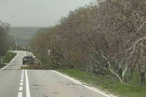 ‼ Drumuri blocate, copaci rupți, mașini avariate și acoperișuri smulse sunt doar câteva dintre efectele provocate de codul portocaliu de astăzi, atât în Capitală, cât și pe întreg teritoriul țării - Sputnik Молдова