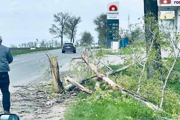 ‼ Drumuri blocate, copaci rupți, mașini avariate și acoperișuri smulse sunt doar câteva dintre efectele provocate de codul portocaliu de astăzi, atât în Capitală, cât și pe întreg teritoriul țării - Sputnik Молдова