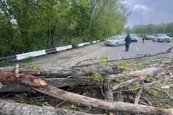 ‼ Drumuri blocate, copaci rupți, mașini avariate și acoperișuri smulse sunt doar câteva dintre efectele provocate de codul portocaliu de astăzi, atât în Capitală, cât și pe întreg teritoriul țării - Sputnik Молдова
