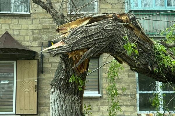 Последствия шквала в Тирасполе - Sputnik Молдова