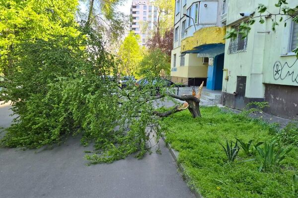 Последствия ураганного ветра в Кишиневе 26 апреля 2026 года - Sputnik Молдова