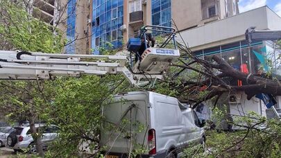 Последствия ураганного ветра в Кишиневе 26 апреля 2026 года