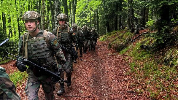 Военные Нацармии приняли участие в совместных учениях в румынских Карпатах - Sputnik Молдова