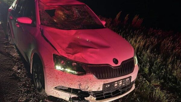 Aseară, în jurul orei 22:20, polițiștii din Drochia au intervenit la documentarea unui accident rutier produs pe traseul R7, în apropierea satului Nicoreni - Sputnik Moldova