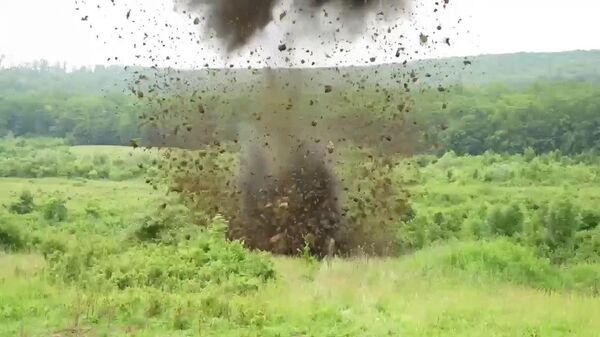 Pe malul râului Prut a fost descoperită o bombă de aviație FAB-50 - Sputnik Moldova