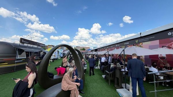 Platforma vinificatorilor ruși „VinoGrad” de la SPIEF-2026 este una dintre cele mai populare - Sputnik Moldova