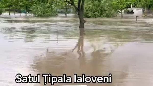 Imagini dezolante din raioanele afectate de ploile din ultimele zile - Sputnik Moldova
