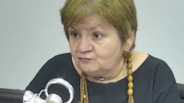 Соглашения между Молдовой и МВФ фактически представляют собой не классический механизм финансирования, а систему внешнего контроля за экономической политикой страны, заявила экономист Галина Шеларь - Sputnik Молдова