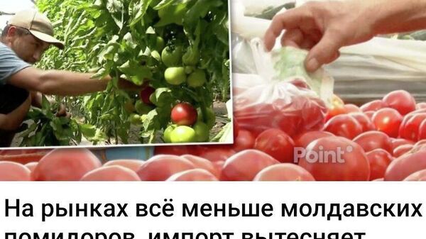 Издержки евроинтеграции или цена независимости? - Sputnik Молдова