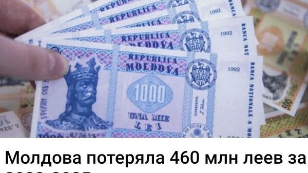 А подскажите, где потеряла? Мы бы организовали поиск силами волонтеров - Sputnik Молдова