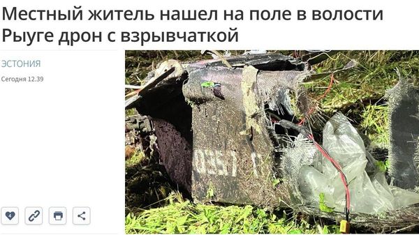 В Эстонии нашли упавший беспилотник с 5 кило взрывчатки, сообщила телерадиокомпания ERR со ссылкой на руководителя бюро департамента полиции безопасности Харриса Пуусеппа - Sputnik Молдова