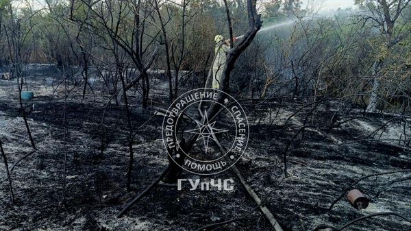 Un incendiu de vegetație s-a extins pe o suprafață de 5 hectare în apropierea satului Novo-Cotovsc, raionul Slobozia din regiunea transnistreană - Sputnik Moldova