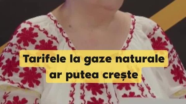Președintele interimar al Consiliului de Administrație „Moldovagaz”, Vadim Ceban, anticipează că tarifele la gaze naturale ar putea crește pentru consumatori - Sputnik Moldova