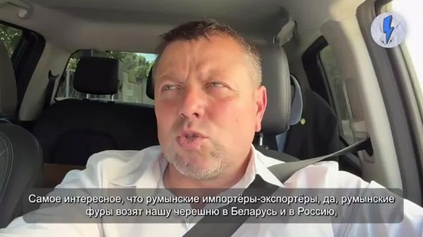 Депутат: Румынские экспортёры возят черешню из Молдовы в Россию и Беларусь — а молдавским это запрещено - Sputnik Молдова