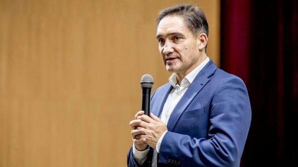 Stoianoglo: În cinci ani, PAS a schimbat nu sistemul, ci sensul cuvintelor - Sputnik Moldova