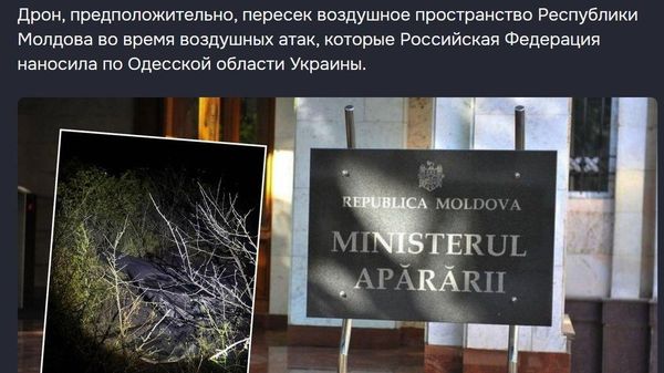 У молдавского МИД все стабильно — молниеносно проведенное расследование, однозначные выводы - Sputnik Молдова