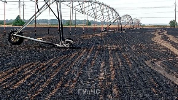 50 га пшеницы выгорело сегодня на поле у приднестровского с - Sputnik Молдова